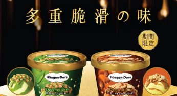 Haagen Dazs 日本直送 抹茶芝士雪糕 同 焦糖奶油雪糕