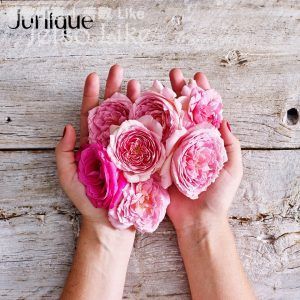 免費享用 Jurlique 手部護理體驗