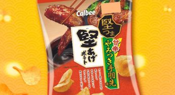7-Eleven 日本直送 卡樂B堅薯片 日式秘製醬汁雞翼味