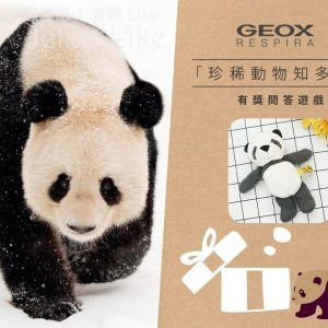 GEOX 到店有獎遊戲 免費獲得 WWF熊貓公仔