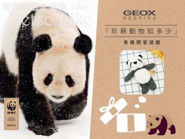 GEOX 到店有獎遊戲 免費獲得 WWF熊貓公仔