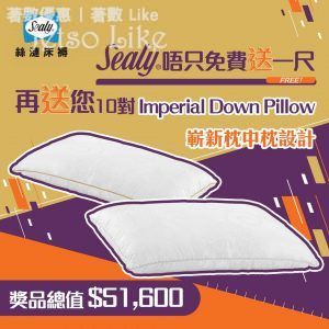 Sealy 有獎遊戲送 一對Imperial Down Pillow