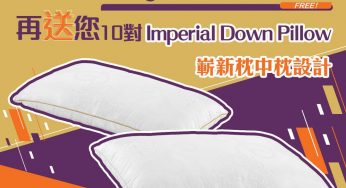 Sealy 有獎遊戲送 一對Imperial Down Pillow