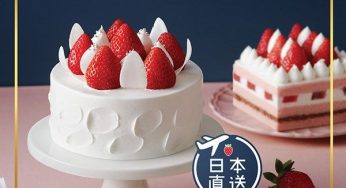 聖安娜 日本草莓輕忌廉蛋糕 優惠價 $244.8