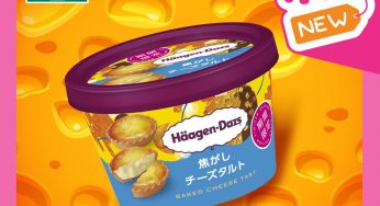 7-Eleven 獨家 日本Häagen-Dazs迷你杯 日式芝士撻