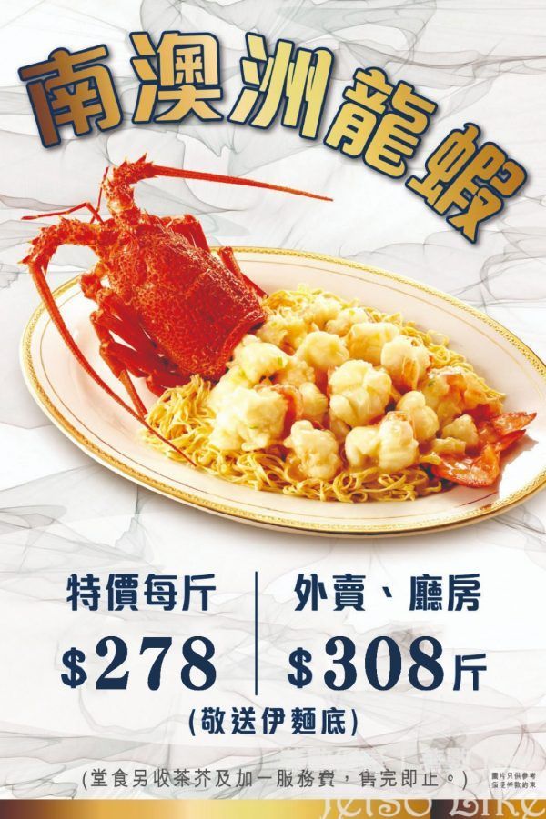 海港飲食集團 南澳洲龍蝦 特價每斤 $278