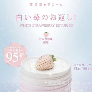 東海堂 期間限定 日本白莓忌廉蛋糕